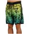 Бордшорти Fox Aviator boardshort