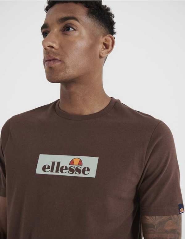 Футболка Ellesse Terraforma brown