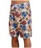 Vans In4formation Era Stretch boardshorts