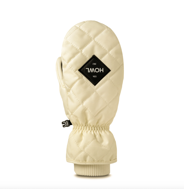 Сноубордичні рукавиці Howl Jed 23 bone