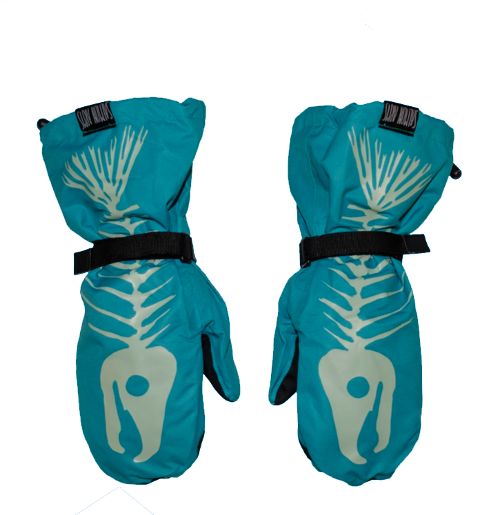 Сноубордичні рукавиці Salmon Arms Bones blue