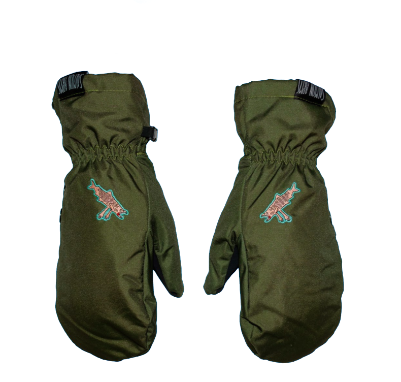 Сноубордичні рукавиці Salmon Arms Spawn green